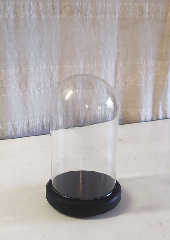 Image 1 of Globe en verre et socle en bois noir - mid. XXeme 