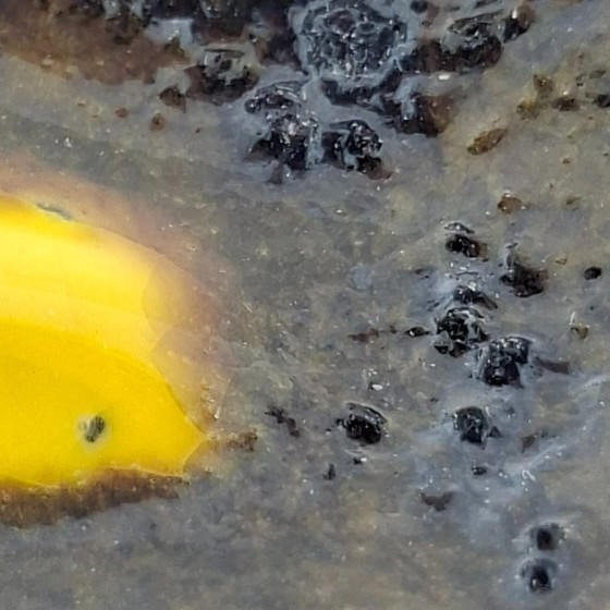 Image 1 of Vaso Germania Ovest ES Ceramics | Petalo Giallo 873-15