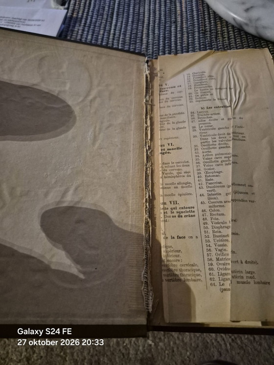 Antico libro medico di riferimento, Libri d'arte, Carta, Tessile, Beige (foto 3 di 15)