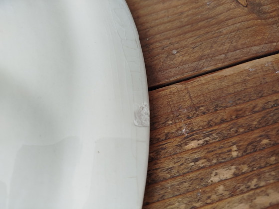 Image 1 of Piatto vintage per ostriche Waechtersbag