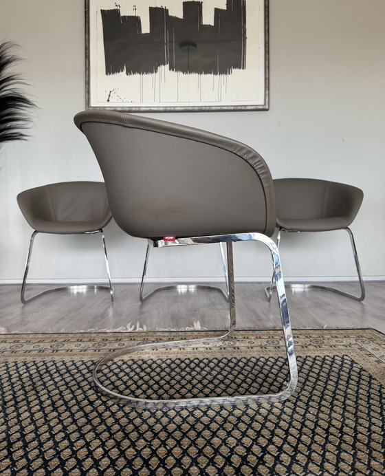 Image 1 of 4x Chaise Arper Duna Design by Lievore Altherr Molina, ca2014