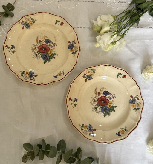 Set of 2 Sarreguemines plates