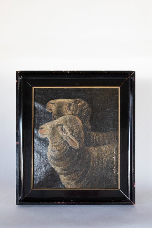 Oil painting – two sheep