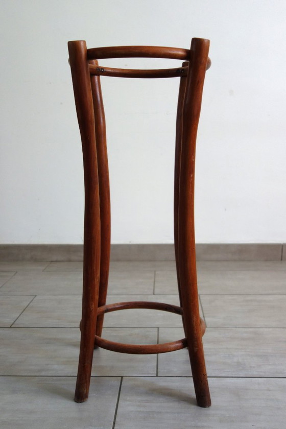 Image 1 of Thonet paraplubak circa 1900