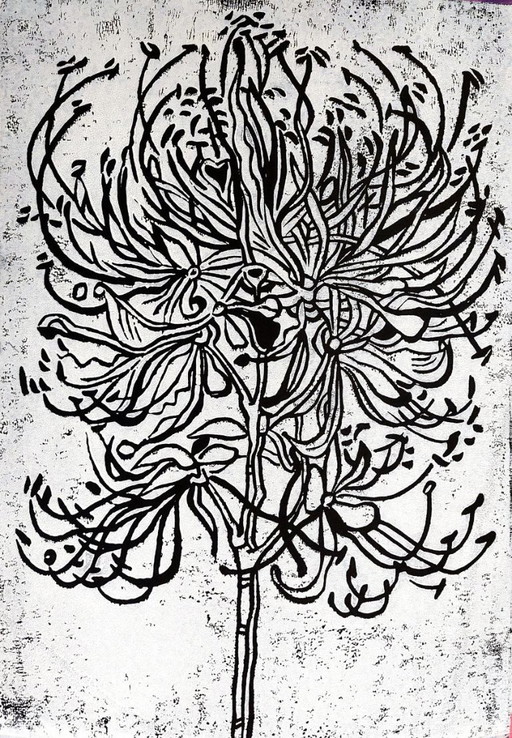 Linogravure Spider Lily - Impression botanique blanc sur noir