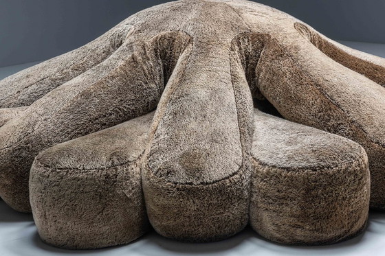 Image 1 of Divano Edra Aster Papposus di Fernando & Humberto Compana, Italia, 2006