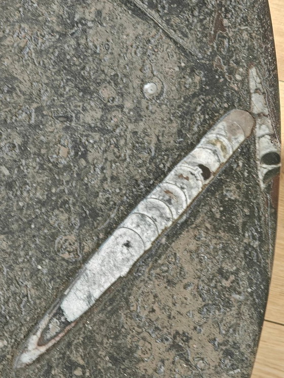 Image 1 of Mesa de centro de mediados de siglo de Heinz Lilienthal con tablero de mármol fósil