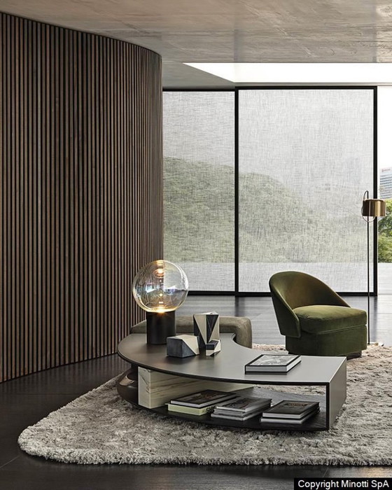 Image 1 of Minotti Ambra