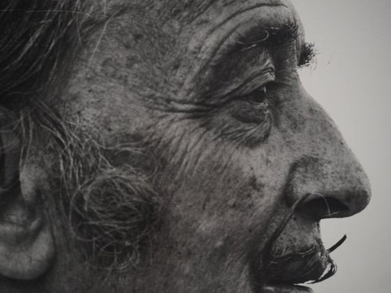 Marc Lacroix: Dali blickt in die Ferne, Originalfotografie mit Signatur – Paper (photo 5 of 6)