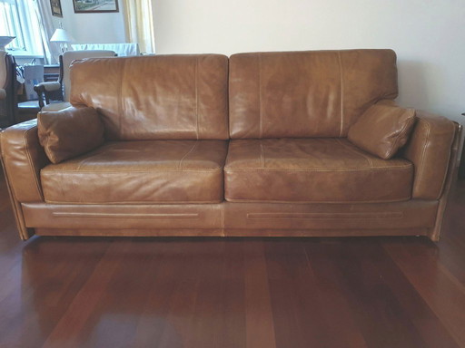 Baxter Arcon Italian Design Buffalo Leather Sofas Marco Milisich (2 seater + 2.5 seater)