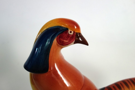 Image 1 of Superb royal pheasant by C. Lemanceau (Saint Clément) circa 1930