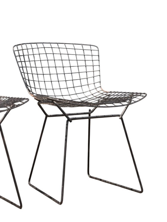 Image 1 of Ensemble authentique de 4 chaises Harry Bertoia Wire pour Knoll - Acier et coussins d'origine
