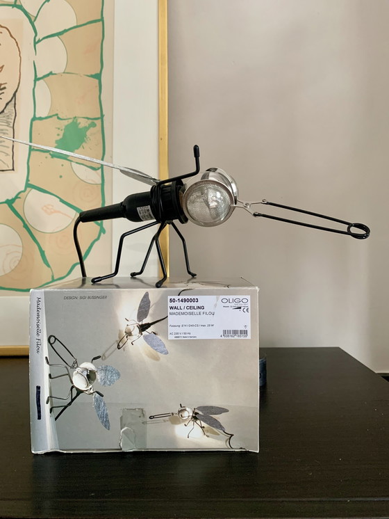 Image 1 of 1x Oligo Mademoiselle Filou