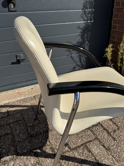 4 Esszimmerstühle aus Leder Team by Wellis Farbe Beige/Schwarz neuwertig.