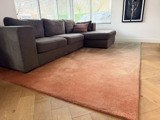 Image 1 of Tapis CS Rugs motif Caméléon 270 x 370 cm – 100 % laine de Nouvelle-Zélande – dégradé de couleurs 330170 – comme neuf