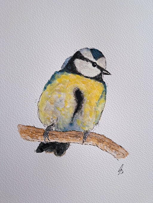 Peinture à l'aquarelle Mésange bleue