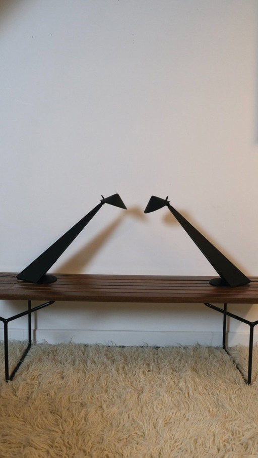 Toucan Lamps by Patrice Bonneau