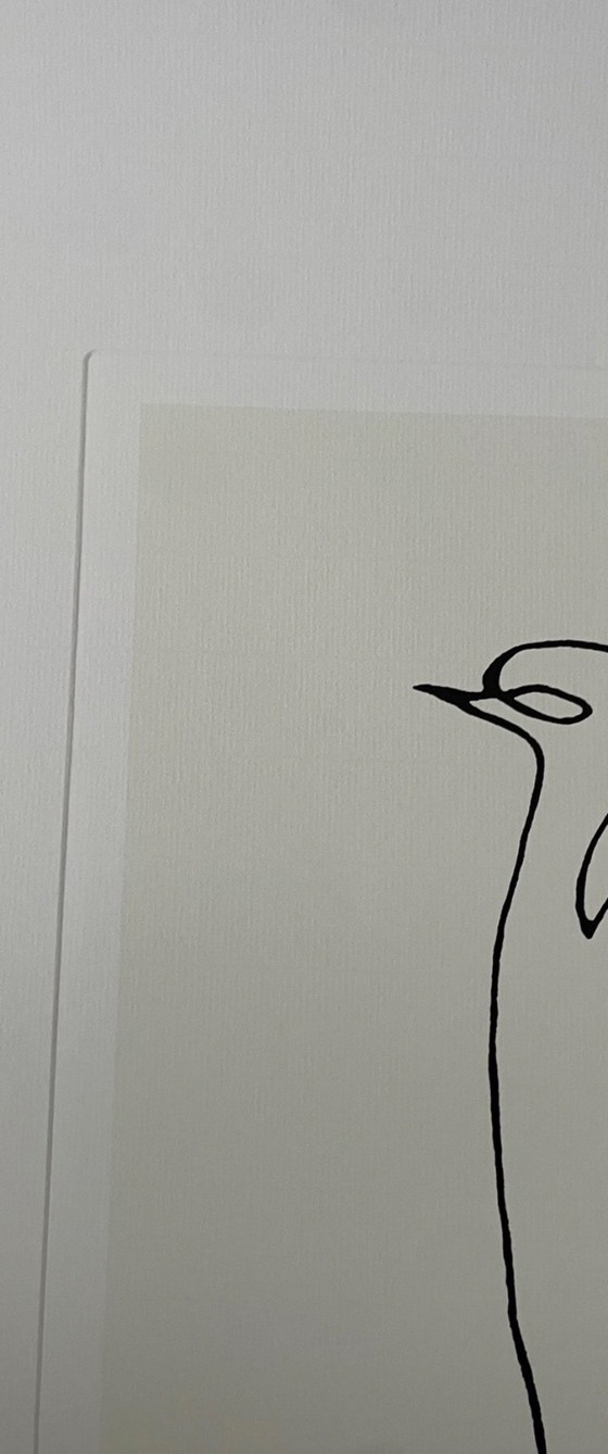 Image 1 of Pablo Picasso (1881-1973), "Il pinguino", copyright Succession P.Picasso/ SABAM Belgio 2006