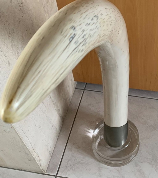 Corne décorative...magnifique !