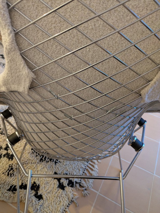 Image 1 of Fauteuil lounge Knoll Bertoia