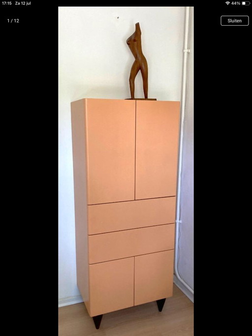 Armoire multifonctionnelle