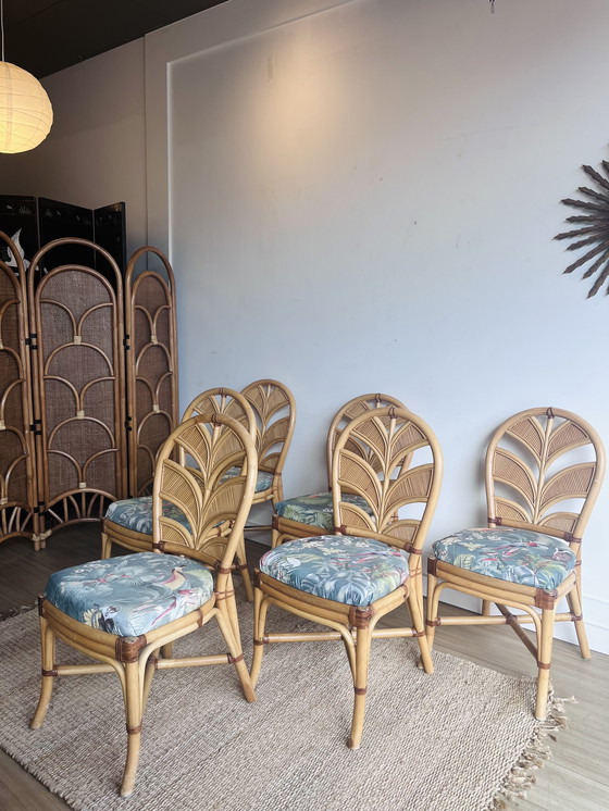 Image 1 of 6 Palm Leaf Rattan chairs Vivai del Sud