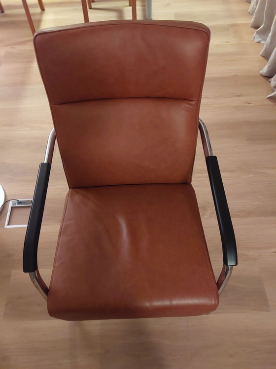 Poltrona in pelle con struttura cromata, stile Gispen, Poltrone, Plastica, Nero (foto 3 di 11)