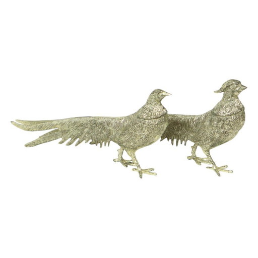 Images de faisans France