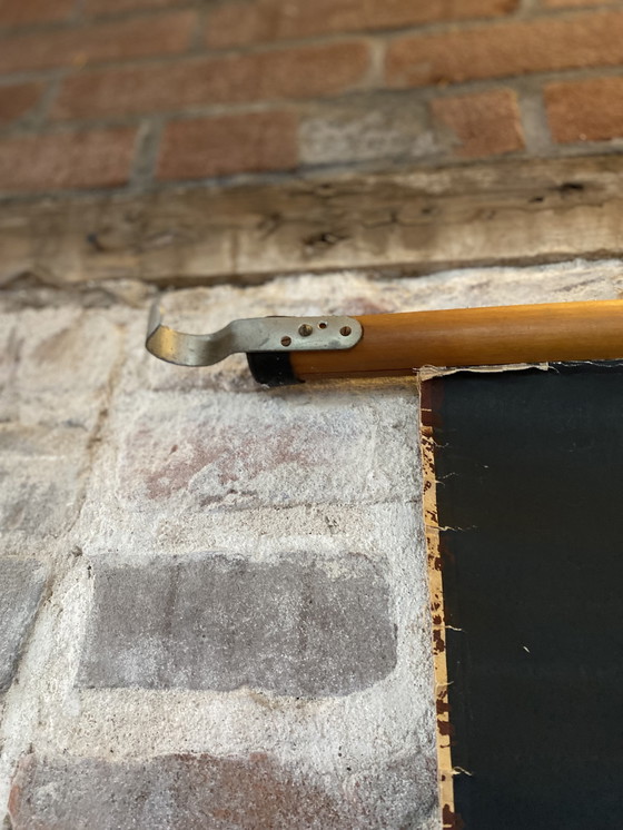 Image 1 of Schoolplaat entomostrasa