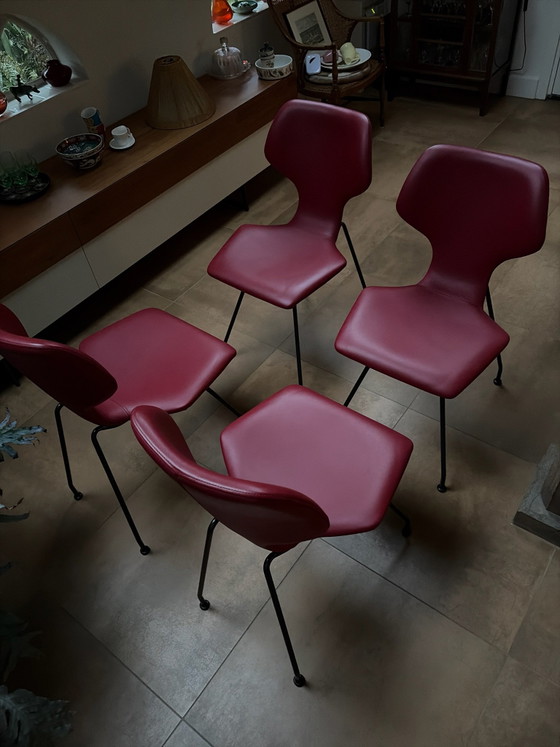 4 sedie Cavalletta Design on Stock, Sedie da pranzo, Pelle, Rosso (foto 7 di 8)