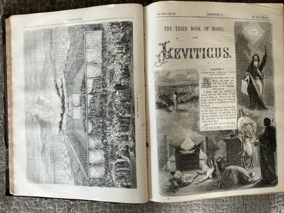 Bibbia, Antico e Nuovo Testamento – Libri d'arte, Paper (photo 9 of 18)