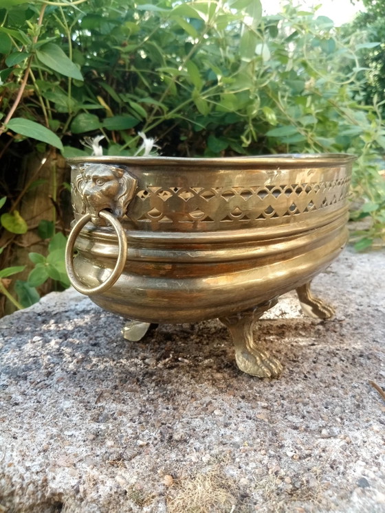 Macetero grande de latón con león, estilo Art Nouveau – Macetas, Brass (photo 2 of 5)