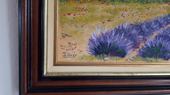 Image 1 of Gérard COLEY - De lavendelboerderij - Schilderij van de kunstenaar