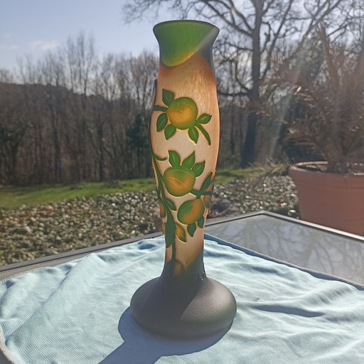 French Cameo glass vase - Vianne (Galle-style)