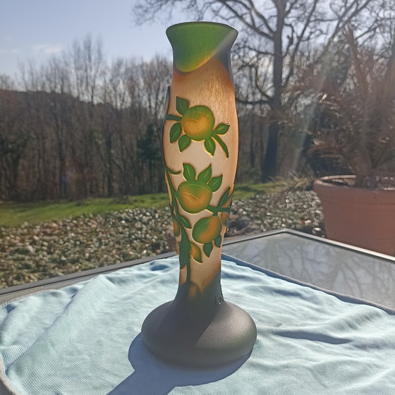 Image 1 of French Cameo glass vase - Vianne (Galle-style)