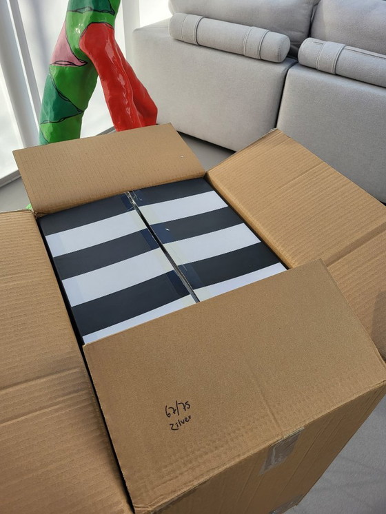 Image 1 of Totem Silber XXL - Jacqueline Schafer