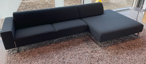 Festes Kissen Artifort Mare Sofa