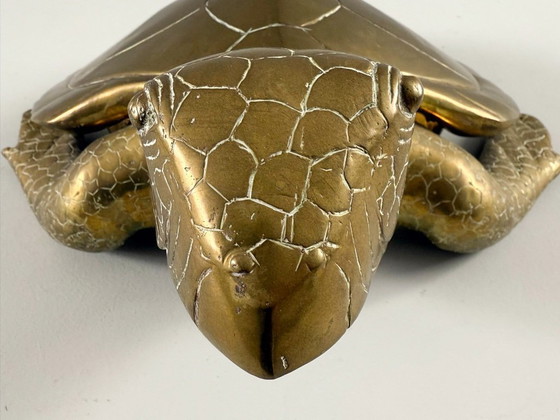 Image 1 of Hollywood Regency, scultura di tartaruga in ottone/scatola/tartaruga a becco di civetta, Francia, anni '70