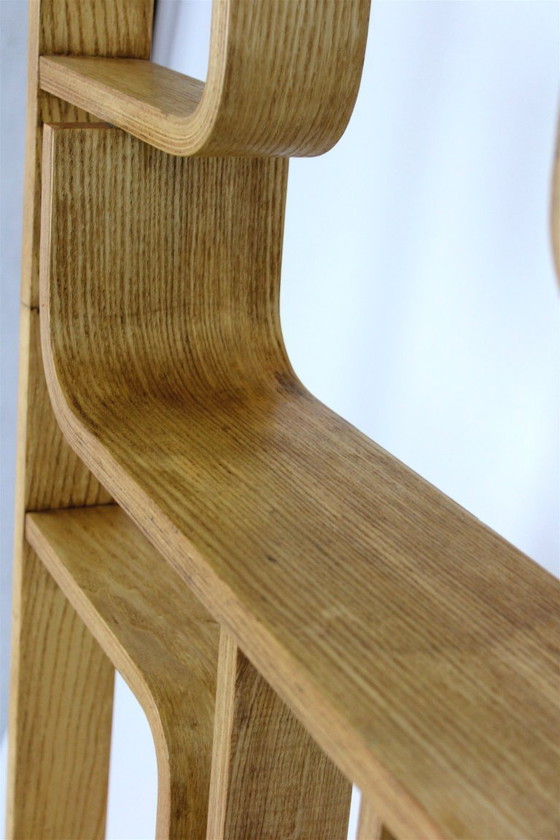 Image 1 of Mid-Century Modern Room Divider by Ludvik Volak for Drevopodnik Holesov, 1960s