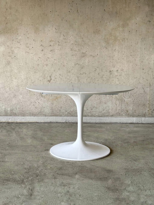 Uitschuifbare Tulip tafel, rond-ovaal van Eero Saarinen