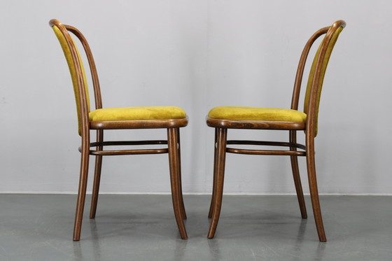 Image 1 of Juego de cuatro sillas de comedor de madera curvada de haya restauradas de la década de 1970, de TON, Checoslovaquia