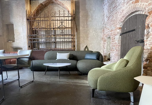 Leolux Jill armchair with lumbar cushion