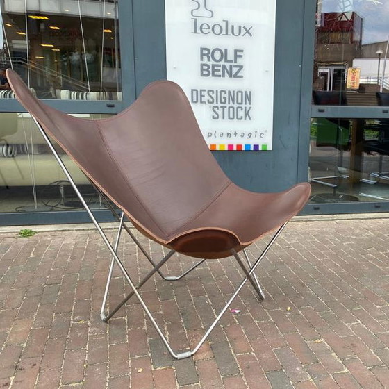 Image 1 of Cuero Mariposa Pampa