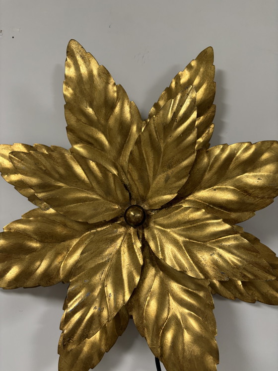 Image 1 of Lampada da parete a forma di fiore fiorentino dorata, W. Müller Monaco (anni '60)
