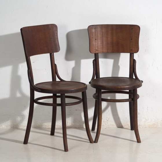 Pair of Thonet style bentwood chairs with curved board back – Central Europe, circa 1920 – Dining chairs (photo 5 of 40)