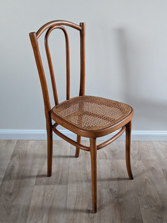 Image 1 of Originele Thonet 56 gebogen houten stoel – Vintage designklassieker