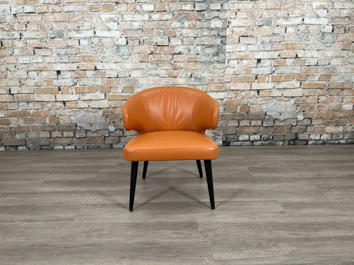 Sedia da pranzo Minotti Aston