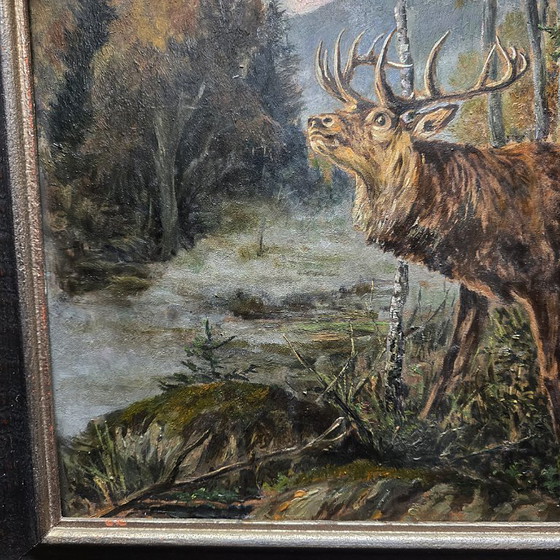 Image 1 of Tableau ancien représentant un cerf rouge dans la forêt, première moitié du XXe siècle