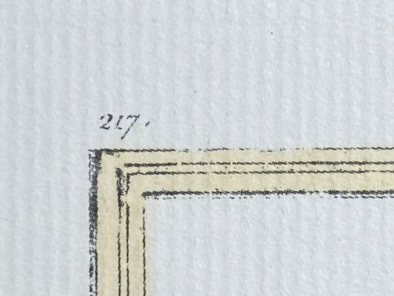 Image 1 of Engraving, Drawing, Sketch: Pair of Chinese Golden Pheasants by François-Nicolas Martinet