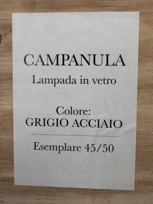 2 x Campanula Sospensione Grigio Acciaio Limited Edition 2025 di Andrea Branzi, Radical Design (non aperta (photo 2 of 8)